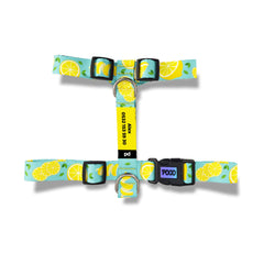Lemon | Dog Harness