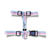 Gelato | Köpek Göğüs Tasması