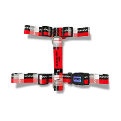 Sporty Punch | Dog Harness