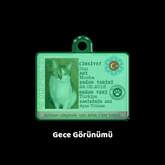 Lumi Pasaport Kimlik Pembe | İsimlik - Evcil hayvanlar için mükemmel bir ürün.