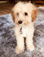 Karton Kahve Bardağı TF TagsForever