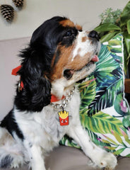 French Fries TF TagsForever