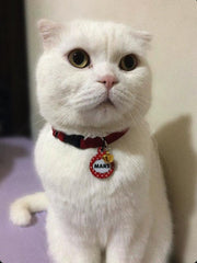 Kırmızı Desenli Yuvarlak TFX TagsForever