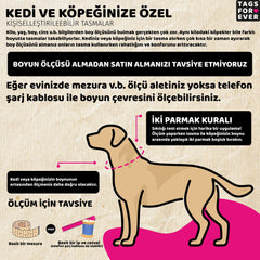 Eggo | Köpek Tasması