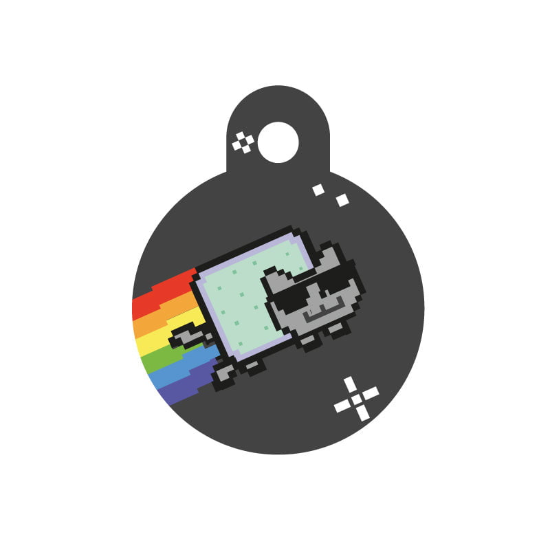 Nyan Cat 2 - Evcil hayvanlar için mükemmel bir ürün.