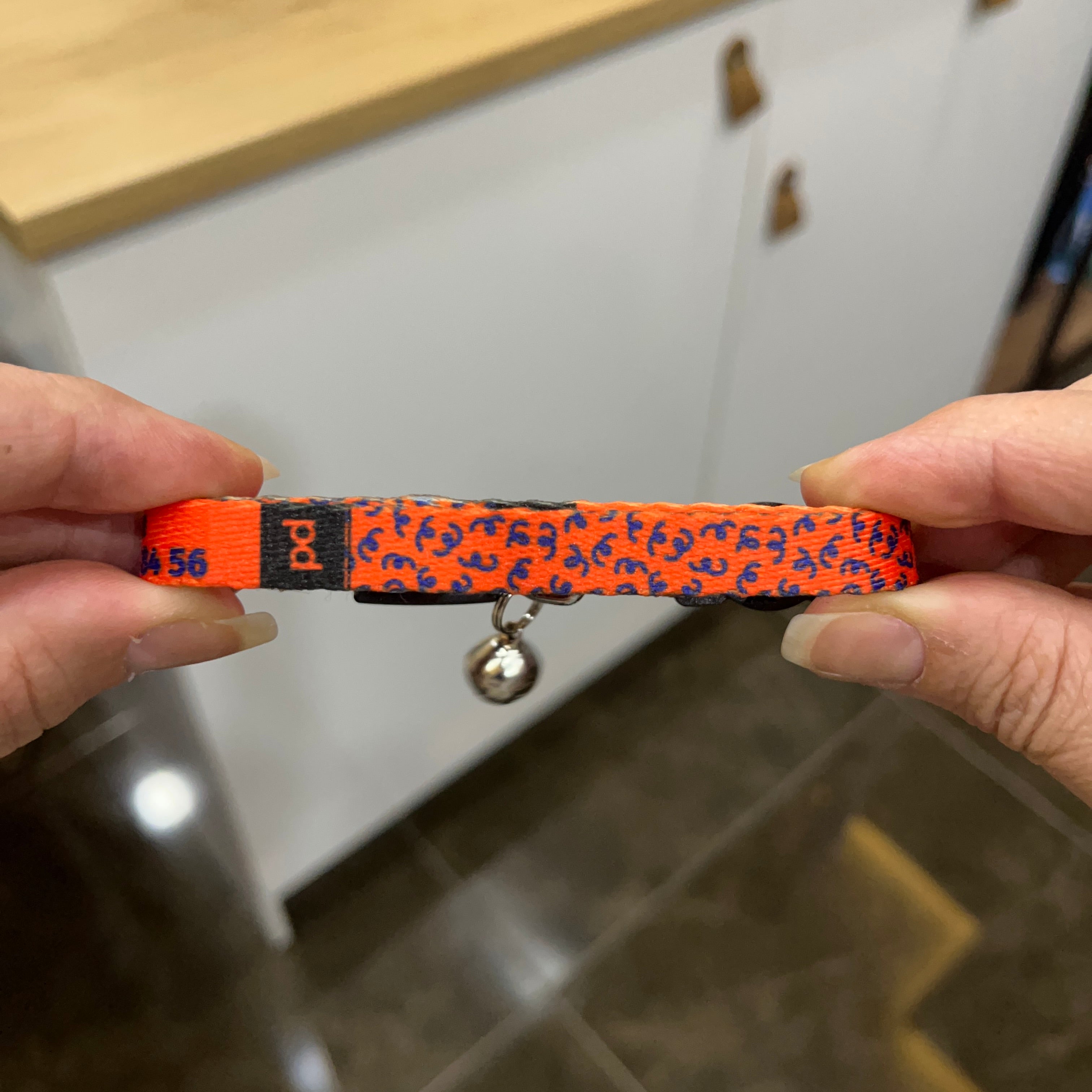 FunFit | Kedi Tasması