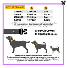 Bloom | Köpek Tasması