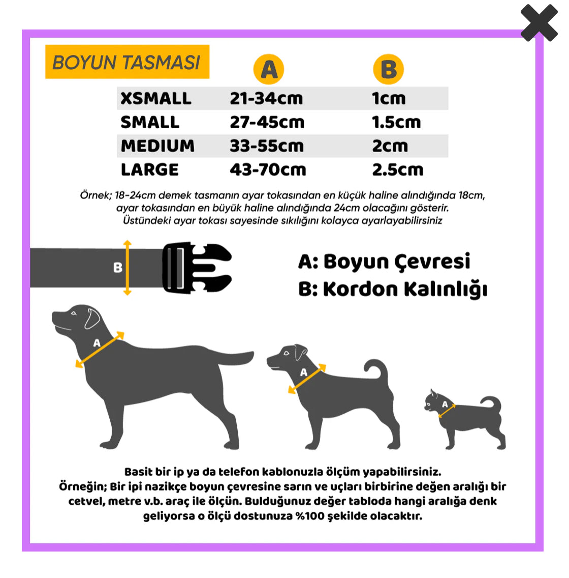 Jelly Beans | Köpek Tasması