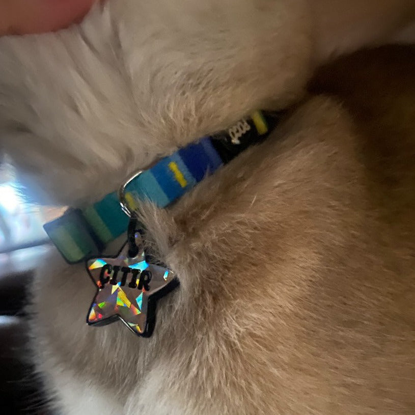 Gri Hologram Yıldız | İsimlik