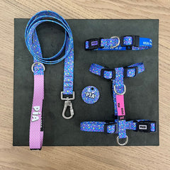 Glee | Tasma ve Künye Seti