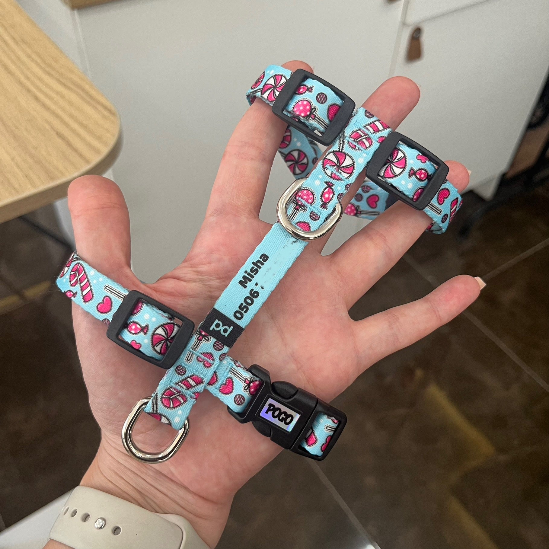 Candy Pop | Köpek Göğüs Tasması