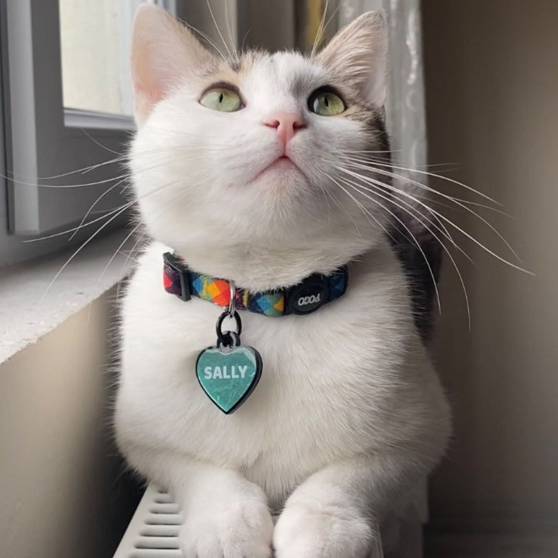 Zoomy | Cat Collar