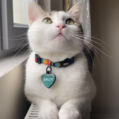 Zoomy | Cat Collar