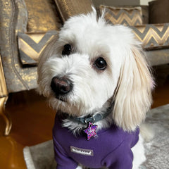 Mor Hologram Yıldız | İsimlik