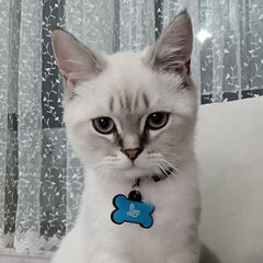 Mavi Neon Kemik | İsimlik