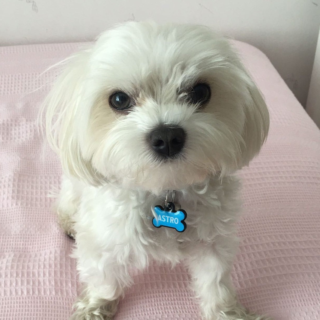 Mavi Neon Kemik | İsimlik