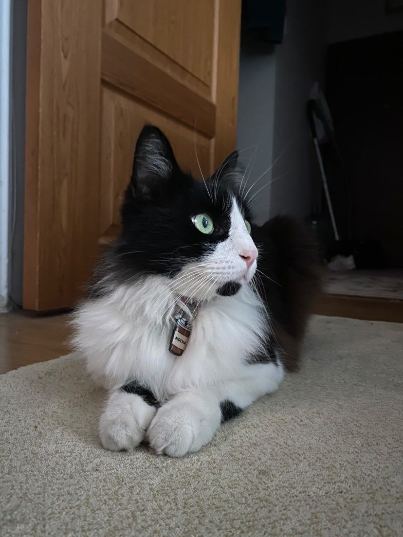 Karton Kahve Bardağı