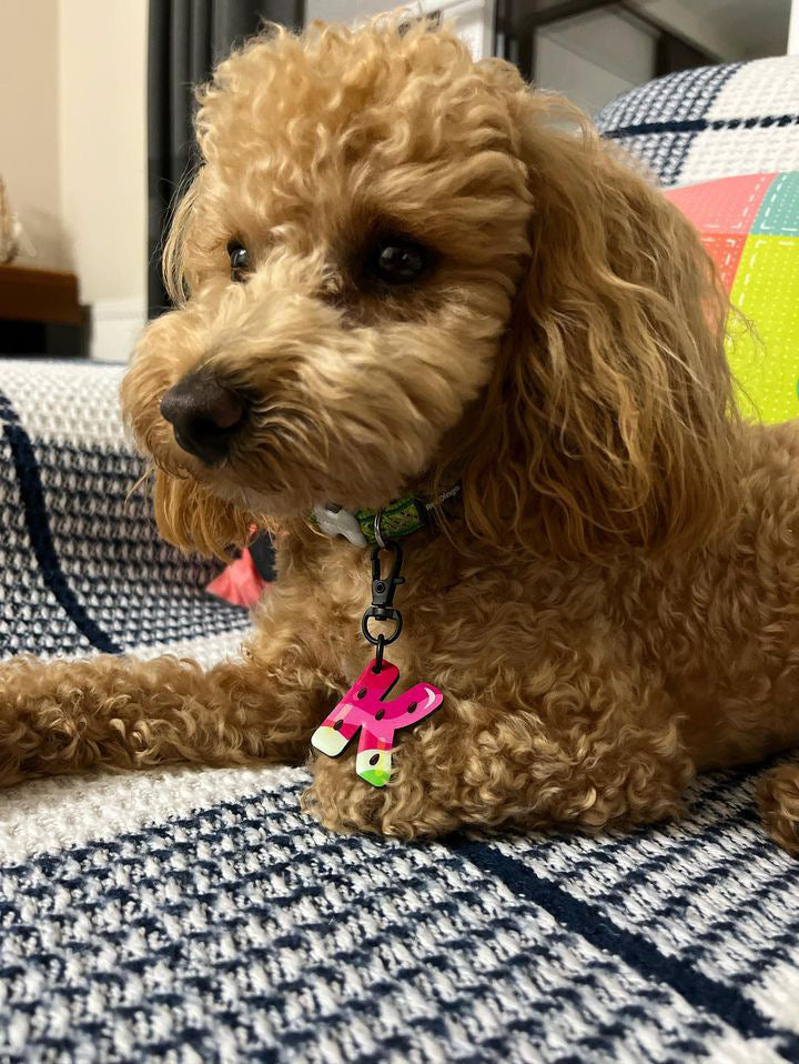 Karpuz Harf Künyeler | Kedi Köpek İsimlik