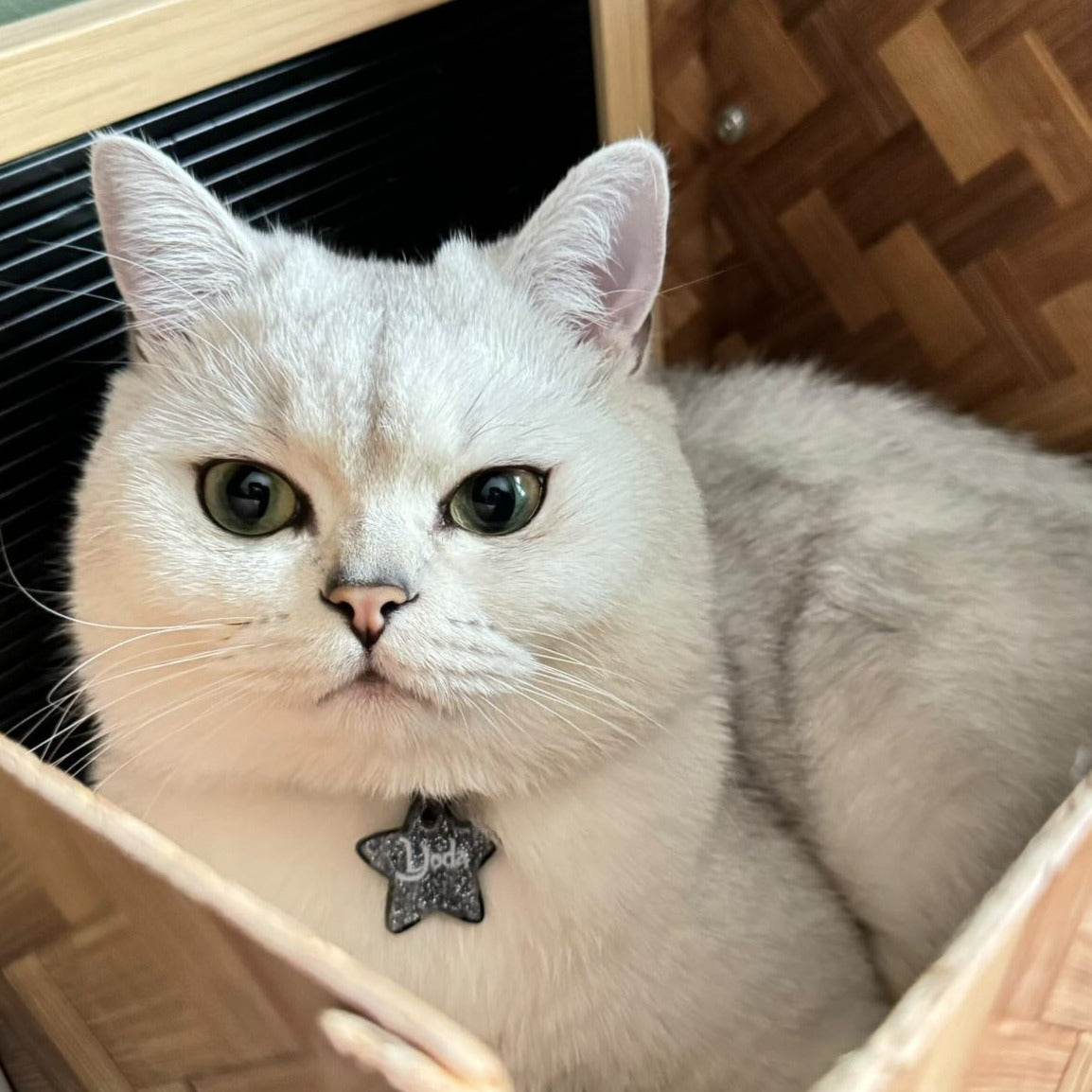 Gri Glitter Yıldız | İsimlik