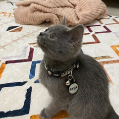 Lumi Yuvarlak Fosforlu | İsimlik