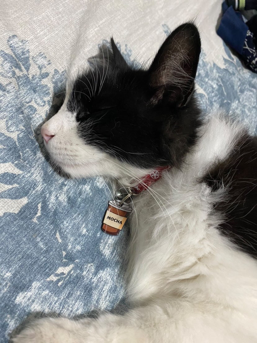 Karton Kahve Bardağı