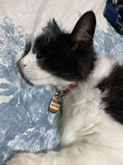 Karton Kahve Bardağı