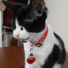 Elmo | Kedi Tasması