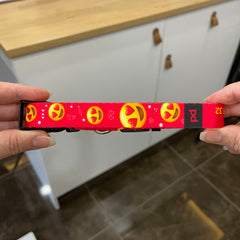 Adore | Dog Collar