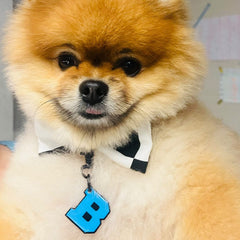 Mavi Neon Harf Künyeler | Tüm Harfler