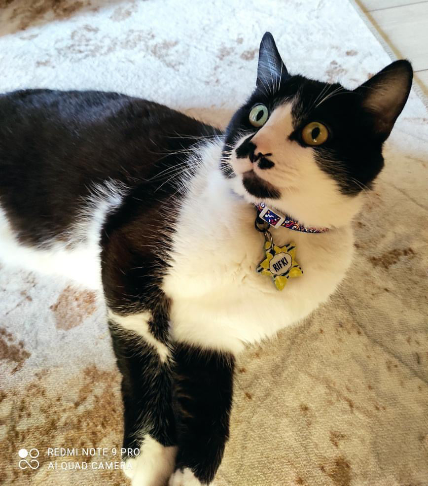 Limon Desenli Yıldız