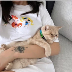 Spectrum | Cat Collar