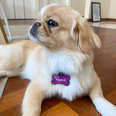 Mor Hologram Kemik | İsimlik