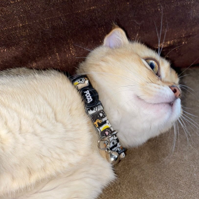 Pawty | Cat Collar