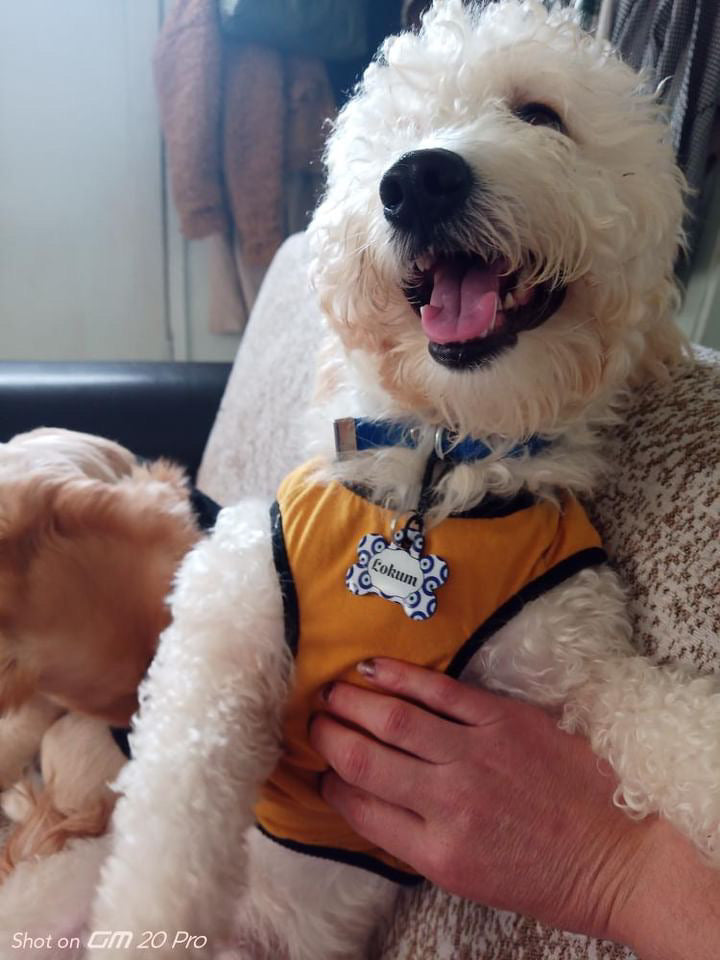 Nazar Boncuğu Desenli Kemik