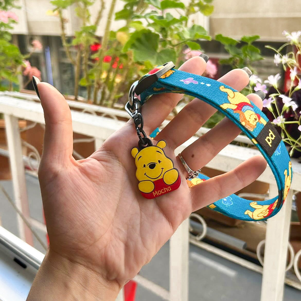 Winnie | Dog Collar