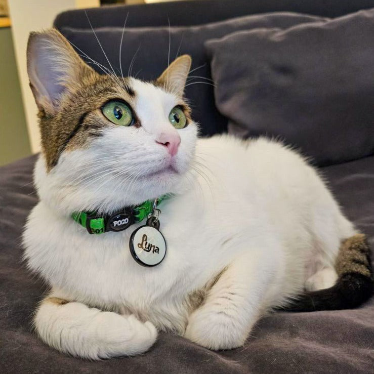 Lumi Yuvarlak Fosforlu | İsimlik