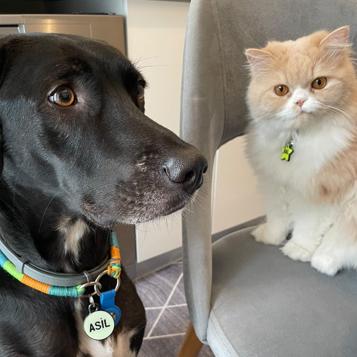 Lumi Yuvarlak Fosforlu | İsimlik