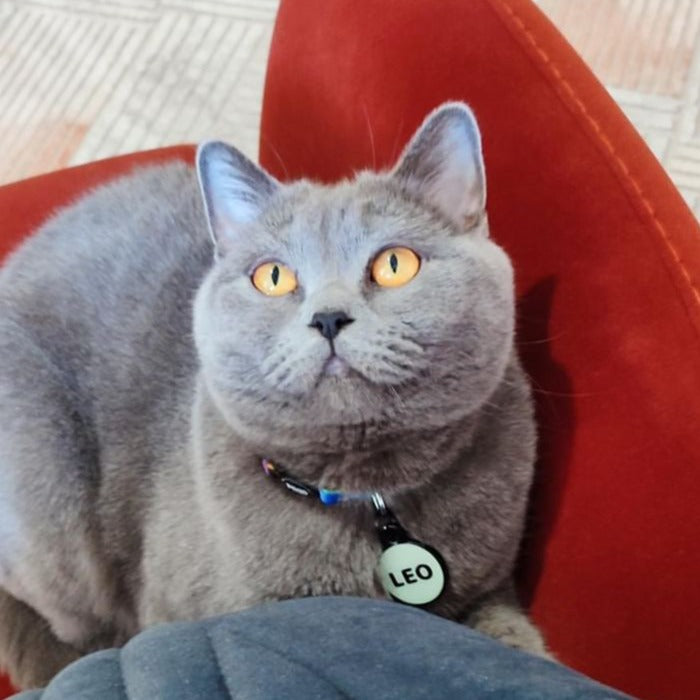 Lumi Yuvarlak Fosforlu | İsimlik