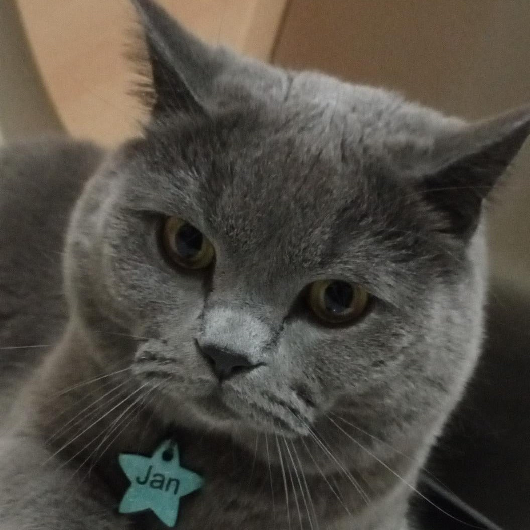 Açık Mavi Glitter Yıldız | İsimlik