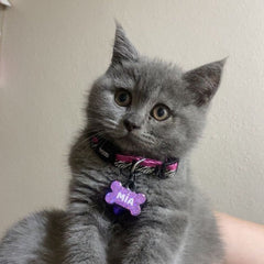 Mor Hologram Kemik | İsimlik