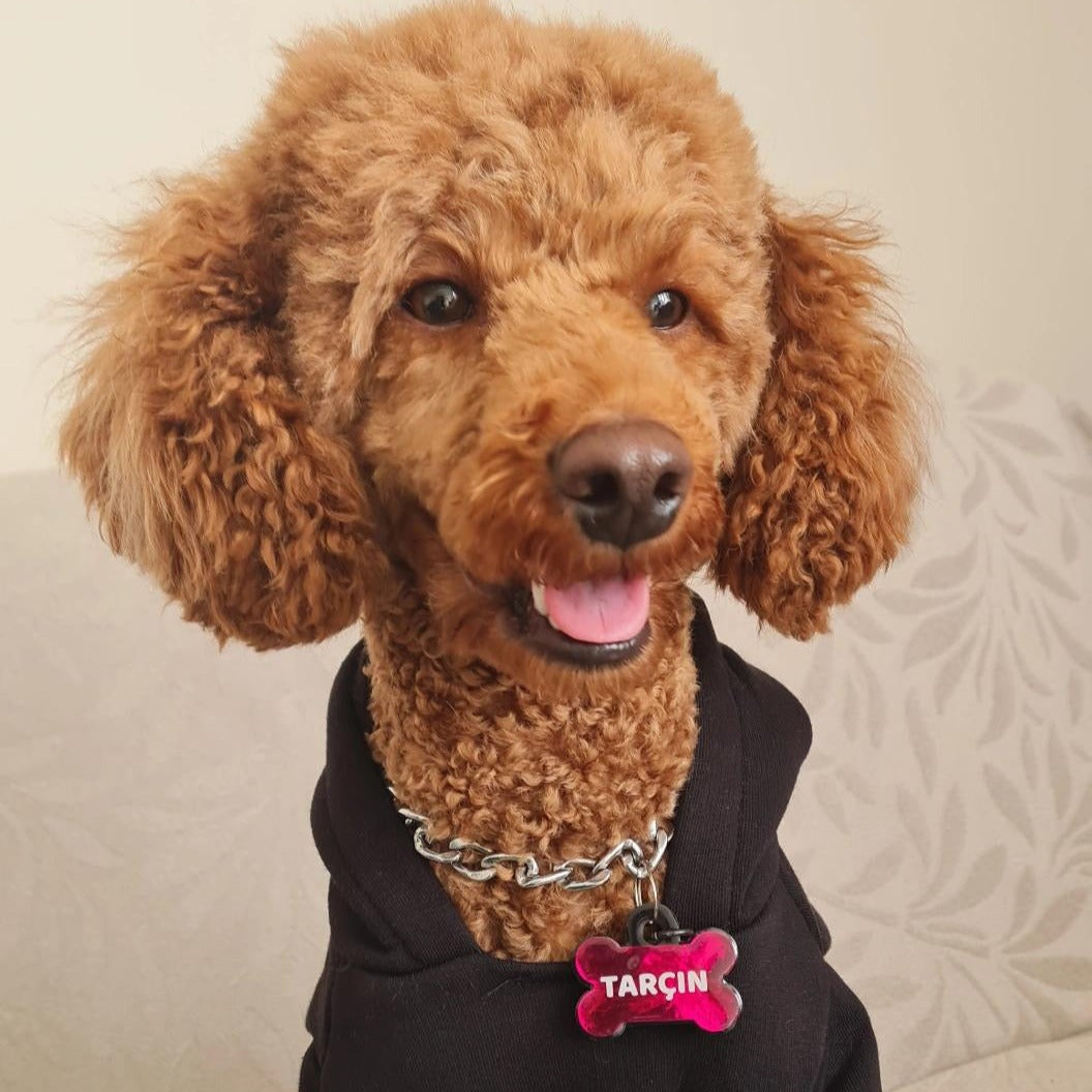 Fuşya Metalik Kemik | İsimlik