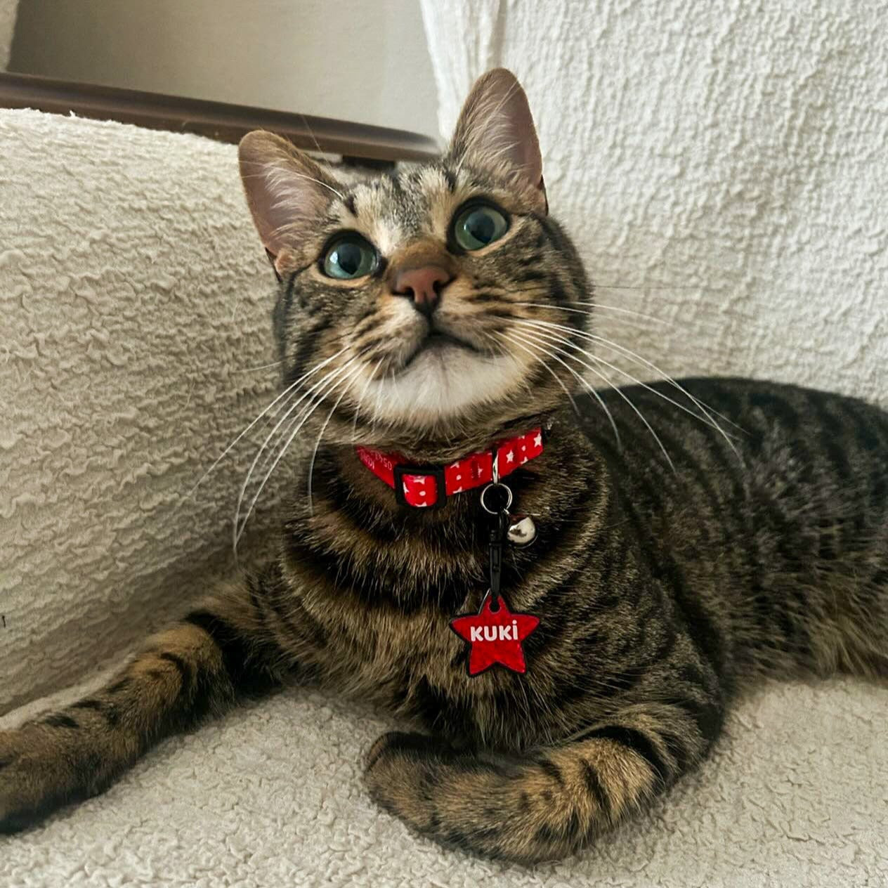 Kırmızı Hologram Yıldız | İsimlik