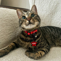 Kırmızı Hologram Yıldız | İsimlik