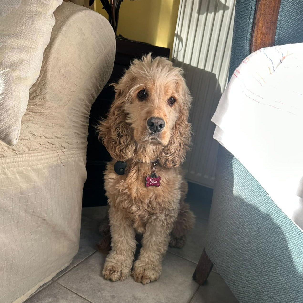 Fuşya Glitter Kemik | İsimlik