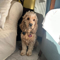 Fuşya Glitter Kemik | İsimlik