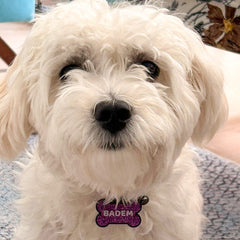 Mor Glitter Kemik | İsimlik