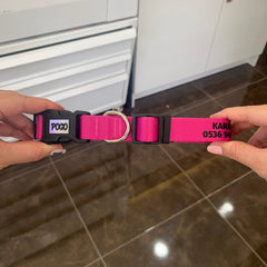 Fuschia | Dog Collar