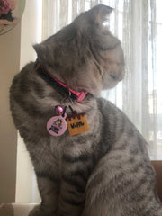 Be The Boss Yuvarlak | Kedi Köpek İsimlik