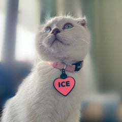 Candy | Kedi Tasması