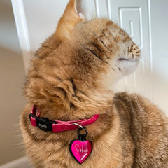 Fuşya Metalik Kalp | İsimlik